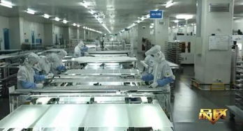 品質 欄目無錫尚德 我與太陽有個約定